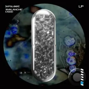  CNDD - Avalanche (2024) 