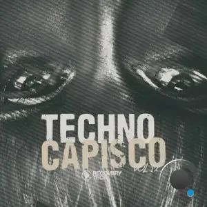  Techno Capisco, Vol. 12 (2024) 