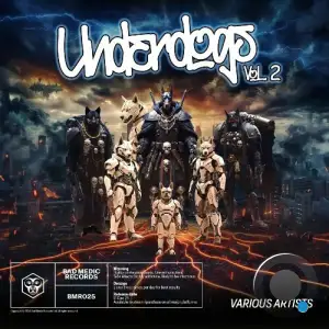  Underdogs - Vol. 2 (2024) 