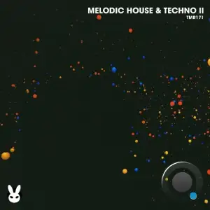  Melodic House & Techno II (2024) 