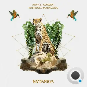  AOVA & ·Corvex· - Tostisol / Maracaibo (2024) 