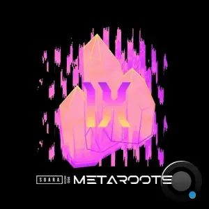  Metaroots 9 (2024) 