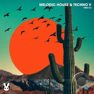  Melodic House & Techno V (2024) 