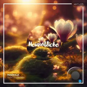  Syncopationn - Magnolia (2024) 