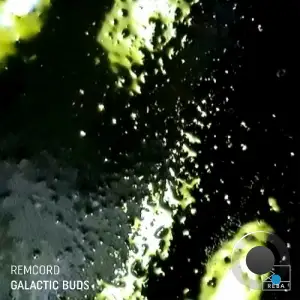  Remcord - Galactic Buds (2024) 