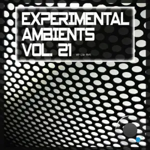  Experimental Ambients, Vol. 21 (2024) 