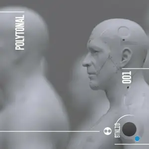  Polytonal 001 (2024) 