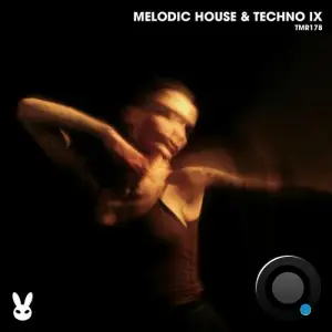  Melodic House & Techno Ix (2024) 