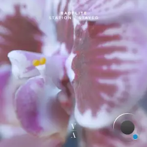  NOEP & Badflite - Station / Stayed (2024) 