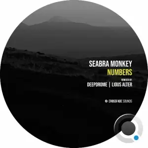  Seabra Monkey - Numbers (2024) 