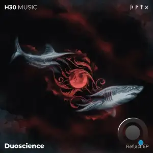  Duoscience - Reflects (2024) 