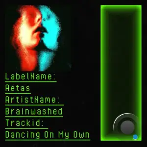  Brainwashed - Dancing on My Own (2024) 