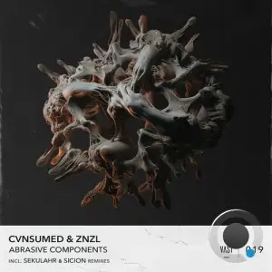  CVNSUMED And Znzl - Abrasive Components (2024) 