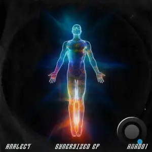 Analect - Synergized (2024)