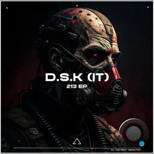 D.S.K (IT) - 213 (2025)