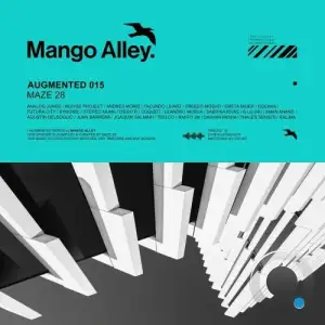  Augmented 015 / Maze 28 (2025) 
