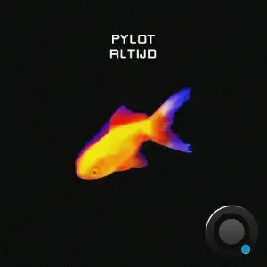  Pylot - Altijd (2025) 