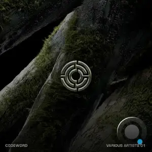  Codeword 01 (2025) 