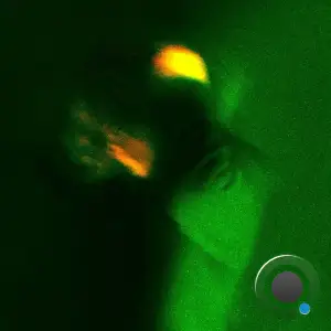  Neddie - Passerby (2025) 