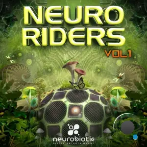  Neuroriders, Vol. 1 (2025) 