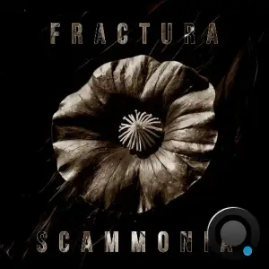 Fractura - Scammonia (2025)