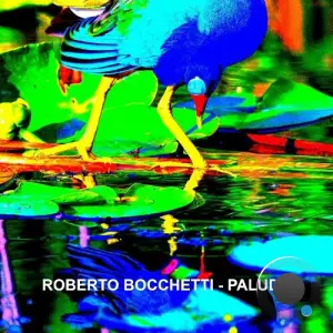 Roberto Bocchetti - Palude (2025)