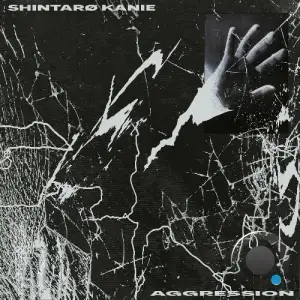 Shintaro Kanie - Aggression (2025)