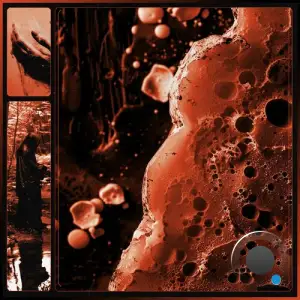 DIMDMT - Unyielding (2025)