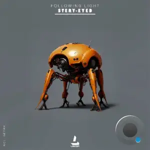 Following Light - Elusive (2025)