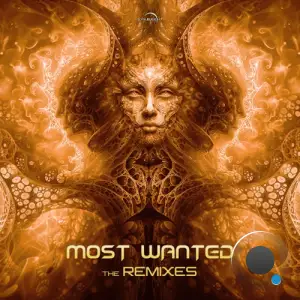Ohmen & Shacom Delia - The Remixes (2025)