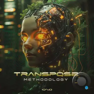 Transpose - Methodology (2025)