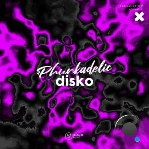 Phunkadelic Disko, Vol. 13 (2025)