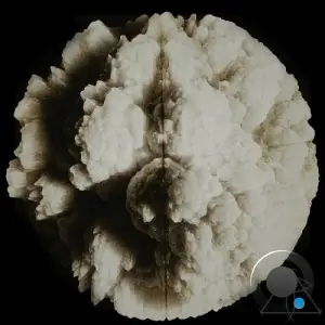 Niklass & Gursten - Bromo-Dragonfly (2025)