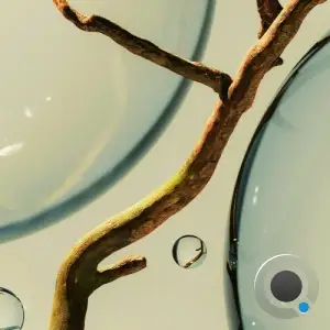 Özgür Can - Found Remixes (2025)