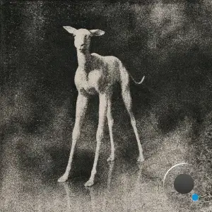 [KRTM] - SSSPCRLTD011 (2025)