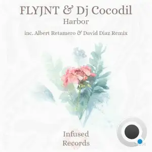 FLYJNT & DJ Cocodil - Harbor (2025)