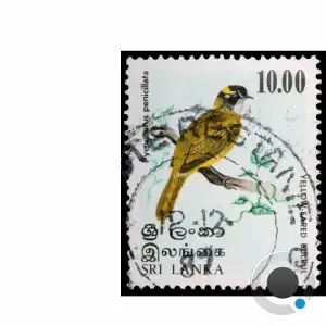 YZU - Haikus (2025)