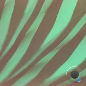 Arjun Vagale & Oxygeno - Zeeman Effect (2025)