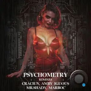 Psychometry RAW250329 (2025)