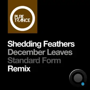 Shedding Feathers - December Leaves (Standard Form Remix) (2025)