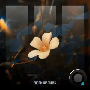 Passenger 10 & MaMan - Bloom In The Ashes (2025)