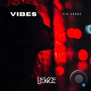 Sid Koans - Vibes (2025)