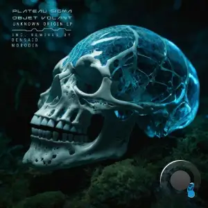Plateau Sigma & Objet Volant - Unknown Origin (2025)