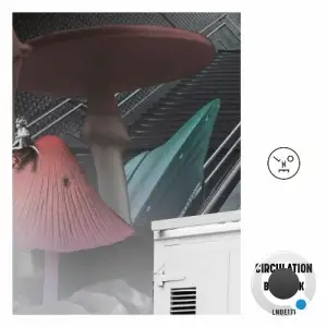 Circulation - Bad Luck (2025)