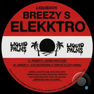 Breezy S - Elekktro (2025)