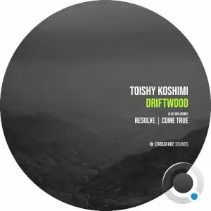 Toishy Koshimi - Driftwood (2025)