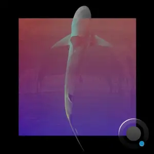 Nabbew - RTFCTS018 (2025)