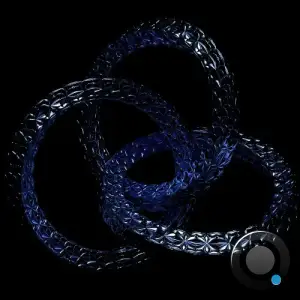 Shintarø Kanie - Mediate (2025)