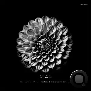 Martyn Pasch - 9 Mois Remixes (2025)