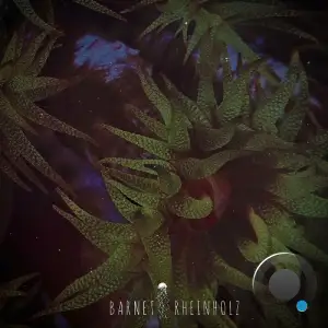 Barnet - Rheinholz (2025)